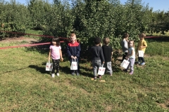 apple picking