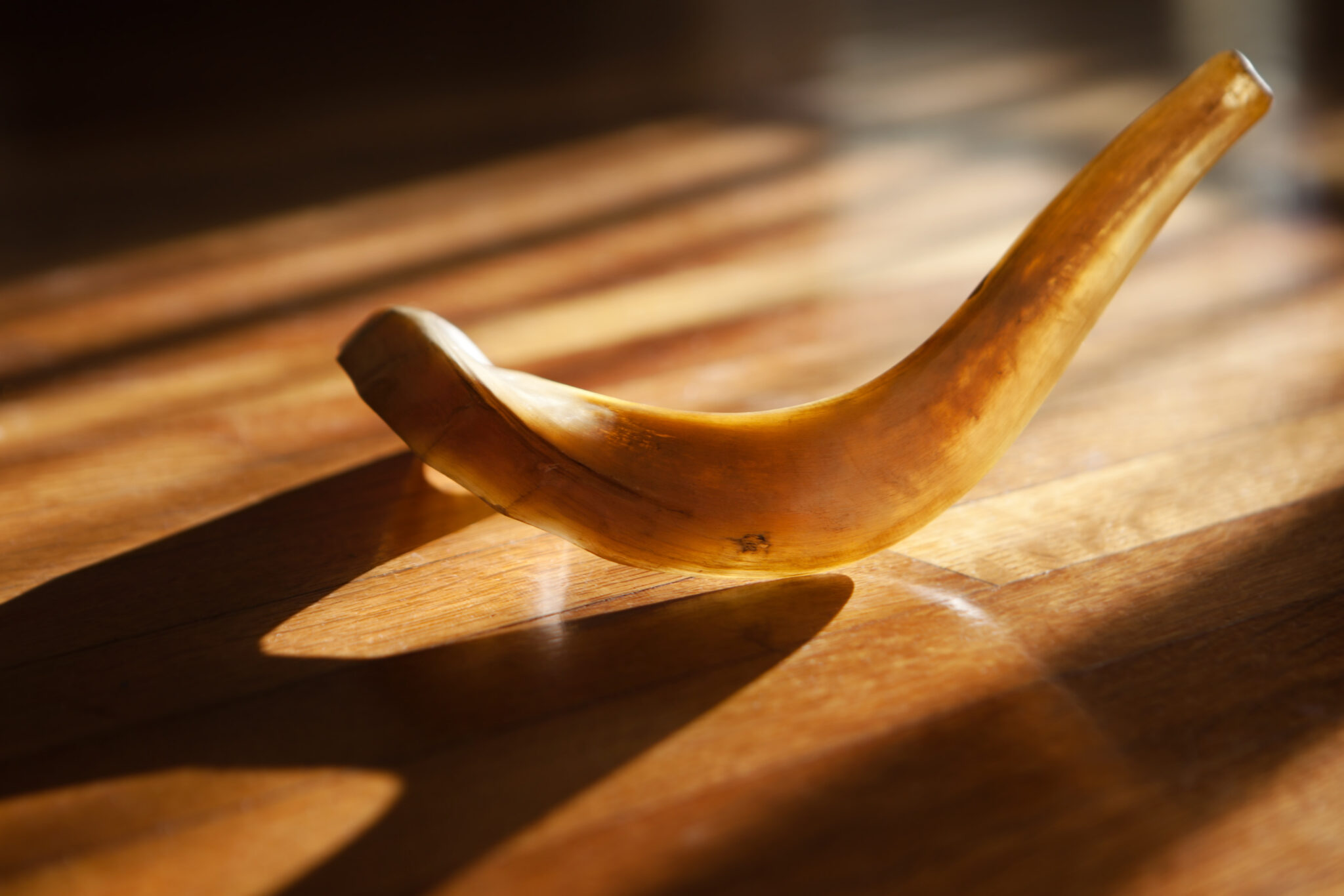 Shofar Congregation Ohav Shalom