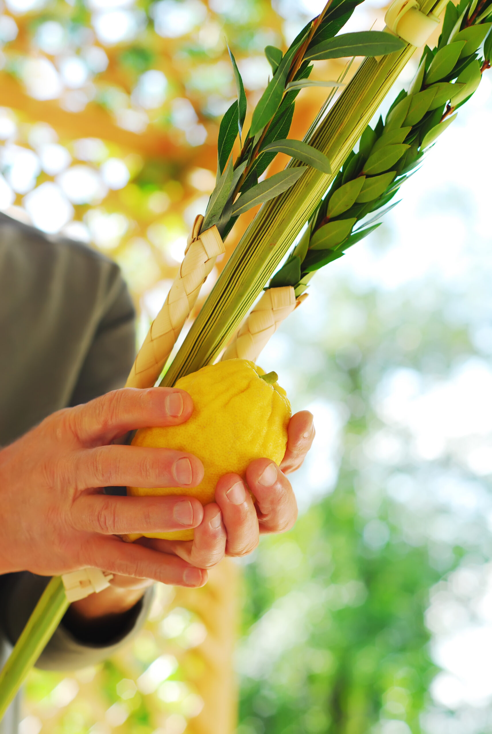 Sukkot In Person Service for Adults