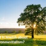 Sunday Schmooze: What is Jewish About Environmentalism? Dec. 7